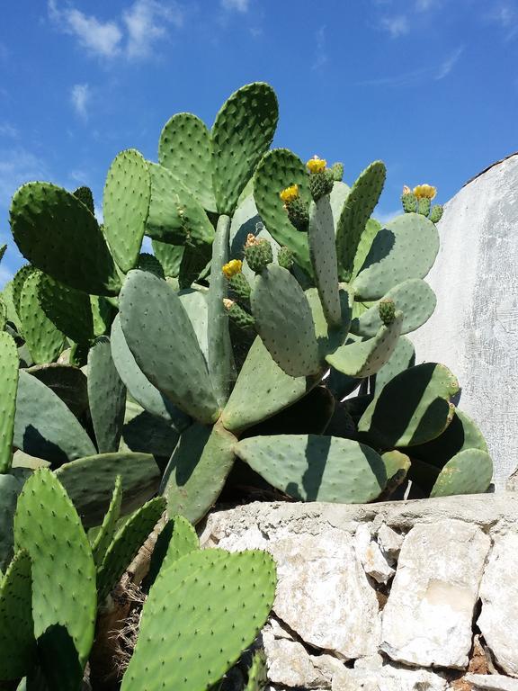 Il Melograno Ceglie Messapica Exterior foto