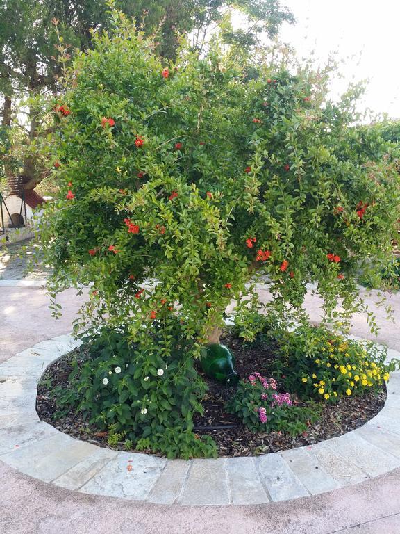 Il Melograno Ceglie Messapica Exterior foto